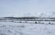 Alaska, la última frontera