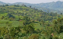 Etiopía, cuna y cultura del café
