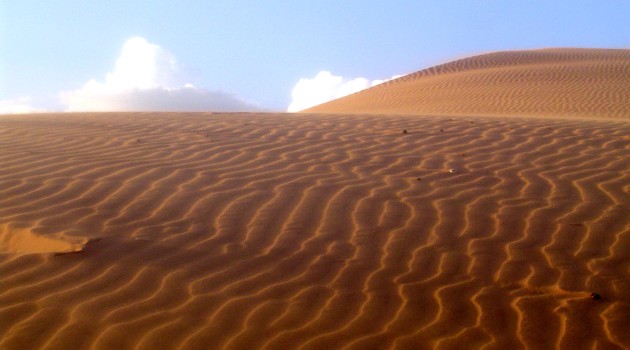 Cuando el Sahara dejó de ser verde y húmedo