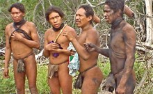 Estudio revela que la mayor tasa de deforestación del mundo tiene lugar en la tierra de una tribu no contactada