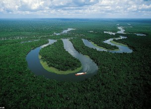 La capacidad de la región amazónica para almacenar CO2 puede mermar por cambios microbianos
