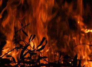 Los incendios en los bosques españoles han evolucionado con el clima
