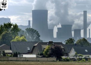 WWF exige el fin de las subvenciones para los combustibles fósiles