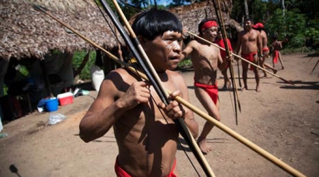 Los yanomami del Amazonas forman bandas de cuñados para hacer la guerra