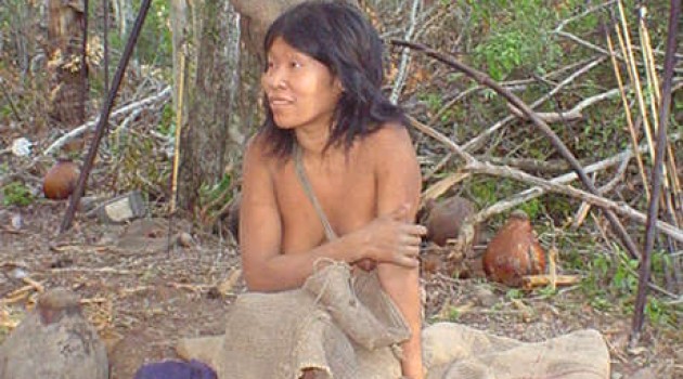 Masiva tala ilegal de bosque amenaza a un pueblo indígena aislado único