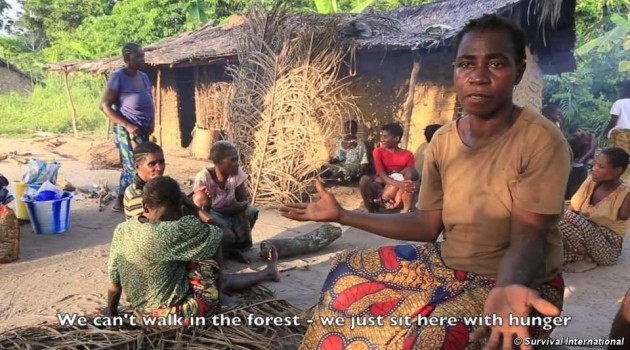 Día Mundial de la Naturaleza: indígenas denuncian persecución en nombre de la “conservación”