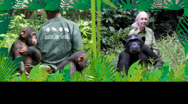 Jane Goodall hace balance de sus 55 años de investigación en África en el Museo Nacional de Ciencia y Tecnología