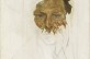 Lucian Freud. Nuevas perspectivas, en el Museo Thyssen hasta el 18 de junio