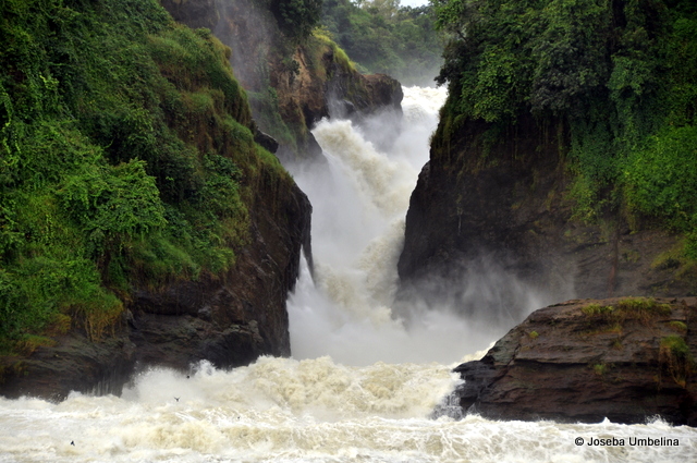 Las cataratas Murchison en Uganda