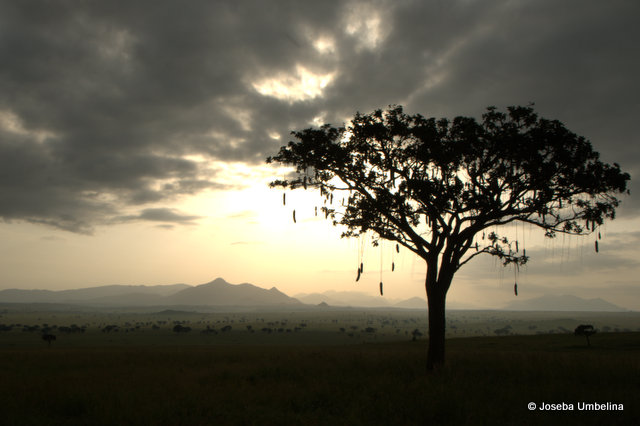 El paisaje del Parque Nacional del Valle de Kidepo, Uganda
