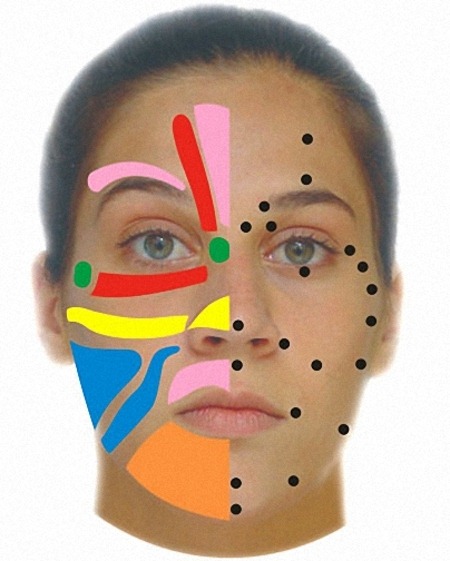 reflexologia-facial-1