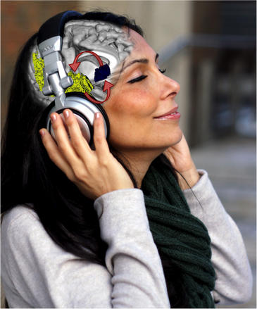 Escuchar-musica-nueva-recompensa-al-cerebro_image365_