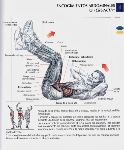 encogimientos_abdominales