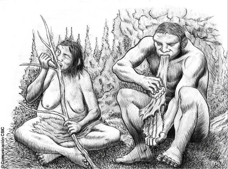 La-endogamia-predominaba-entre-los-neandertales-de-El-Sidron_image800_